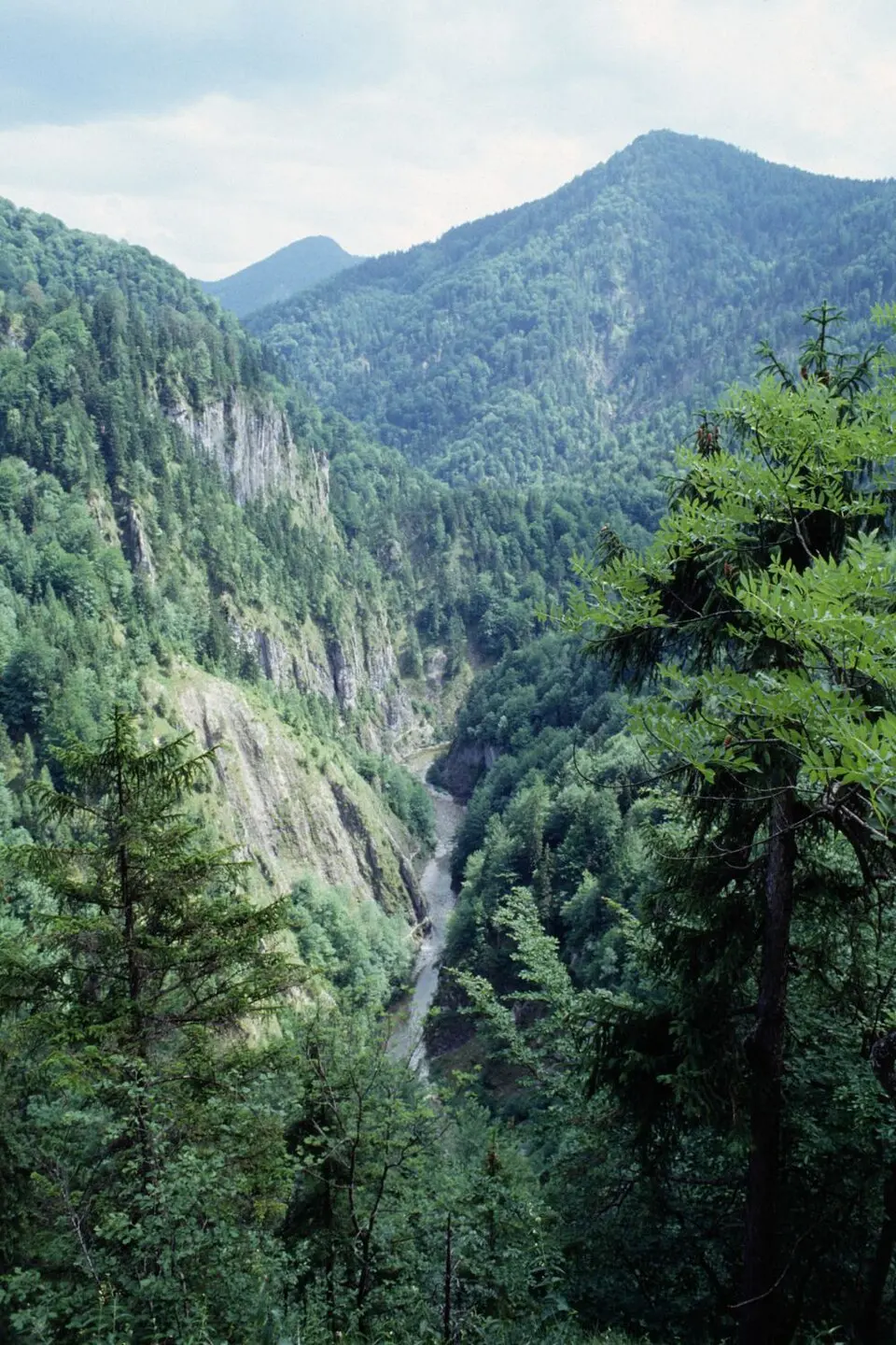 Prefingkogel