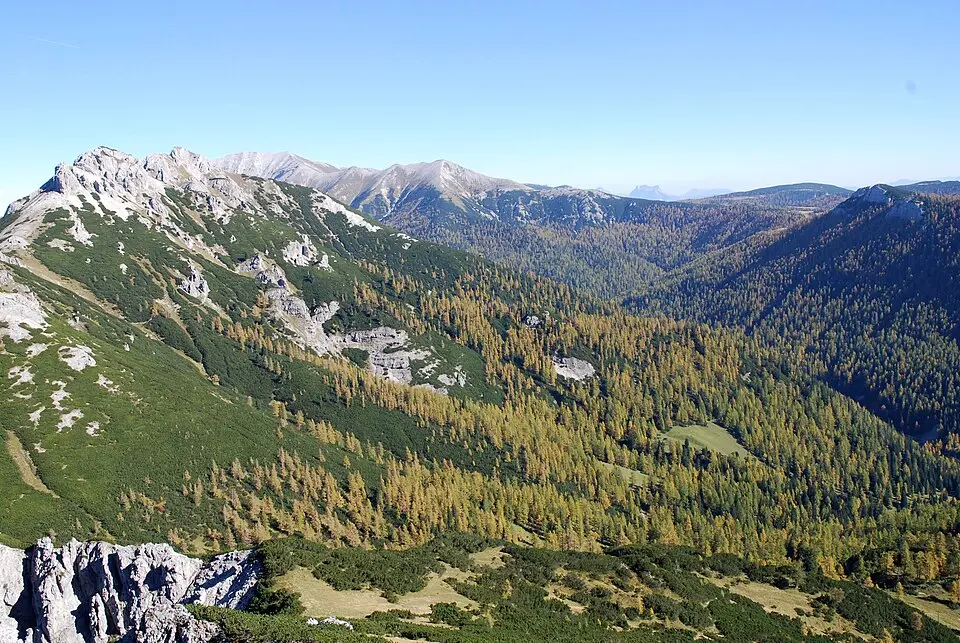 Hirscheck