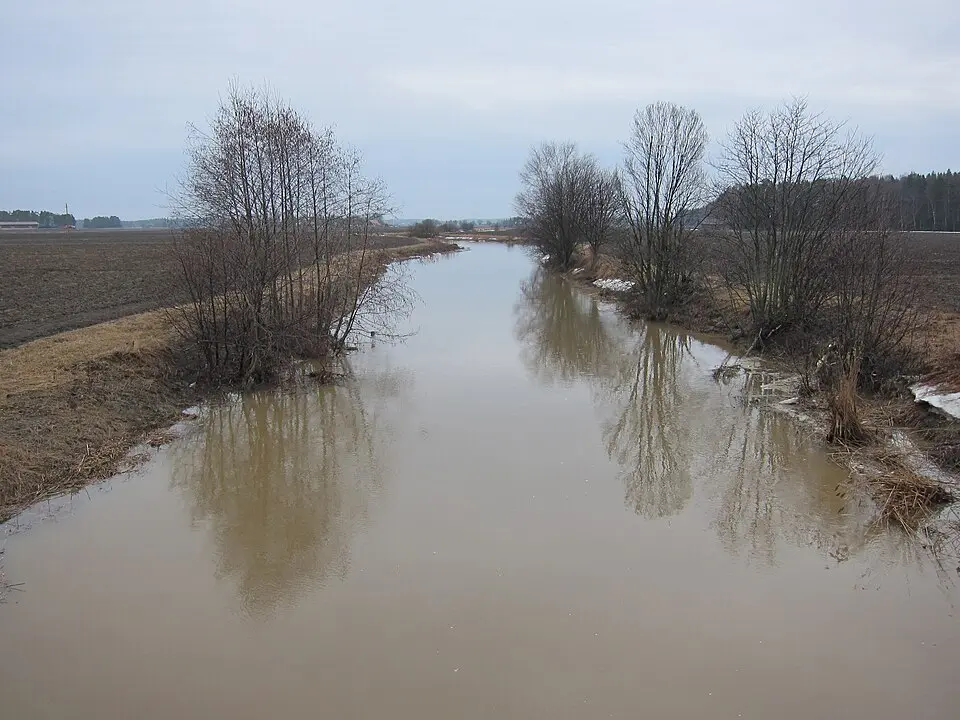 Hirvijoki