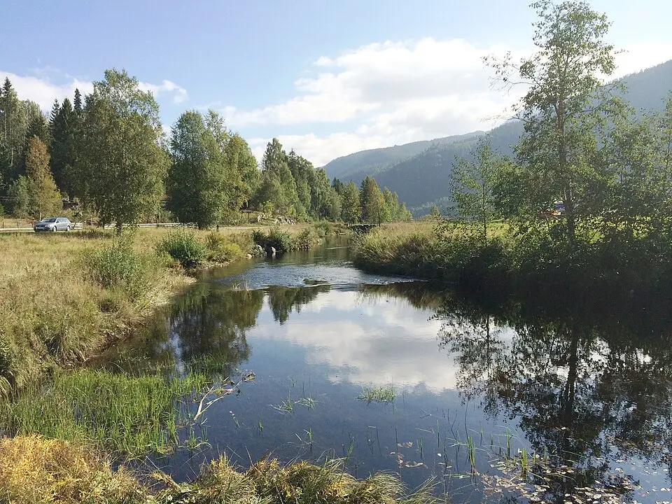 Hjartdøla
