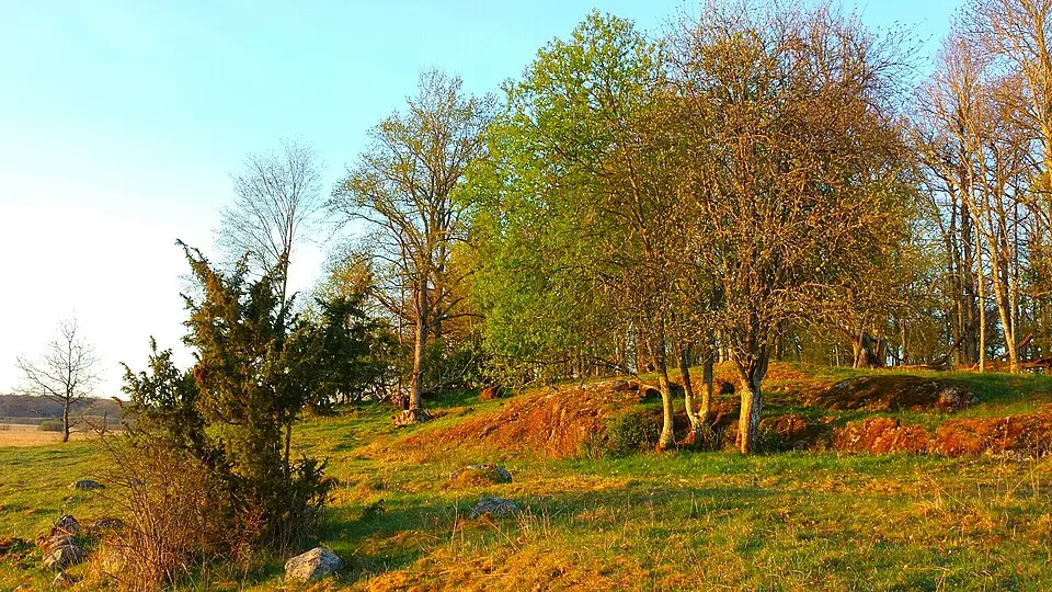 Hjälstavikens naturreservat