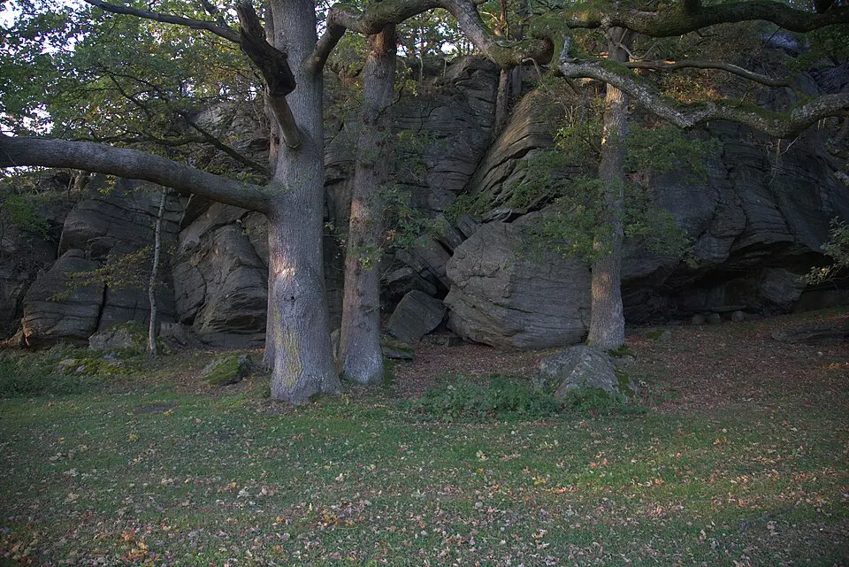 Hjörne naturreservat