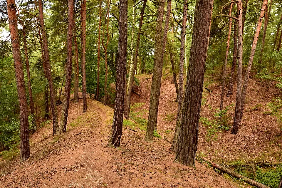 Hlavačov
