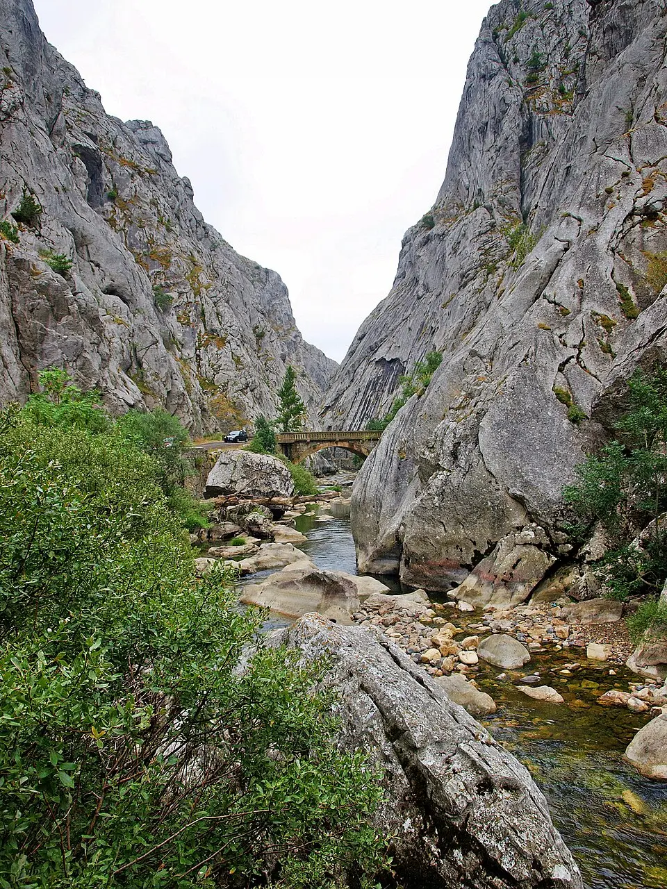 Río Torío