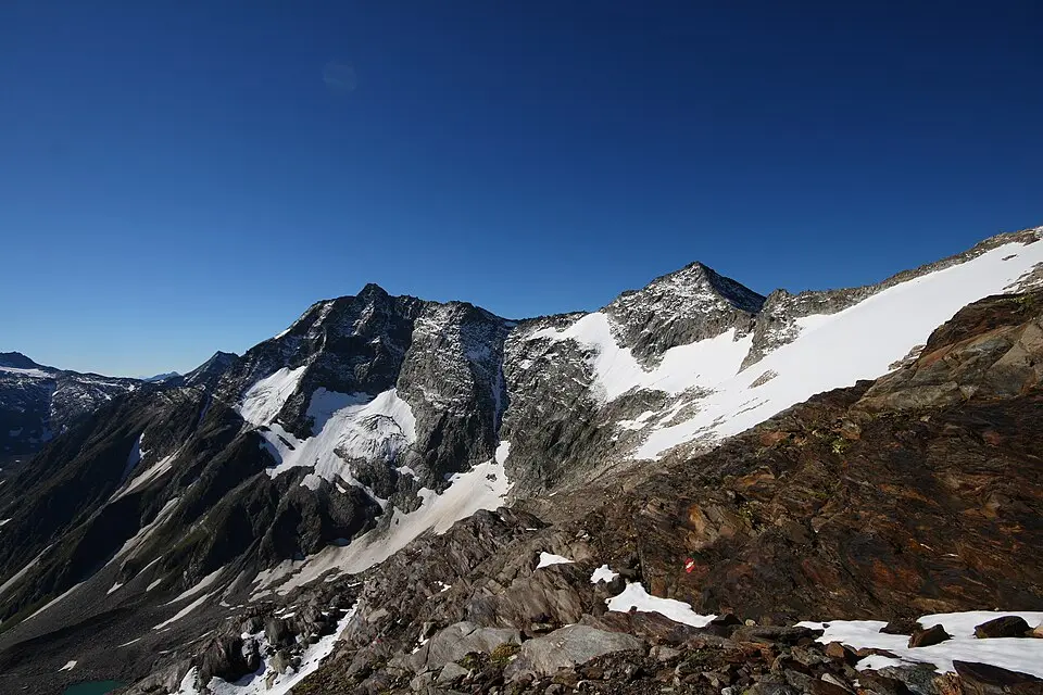 Goldzechkopf