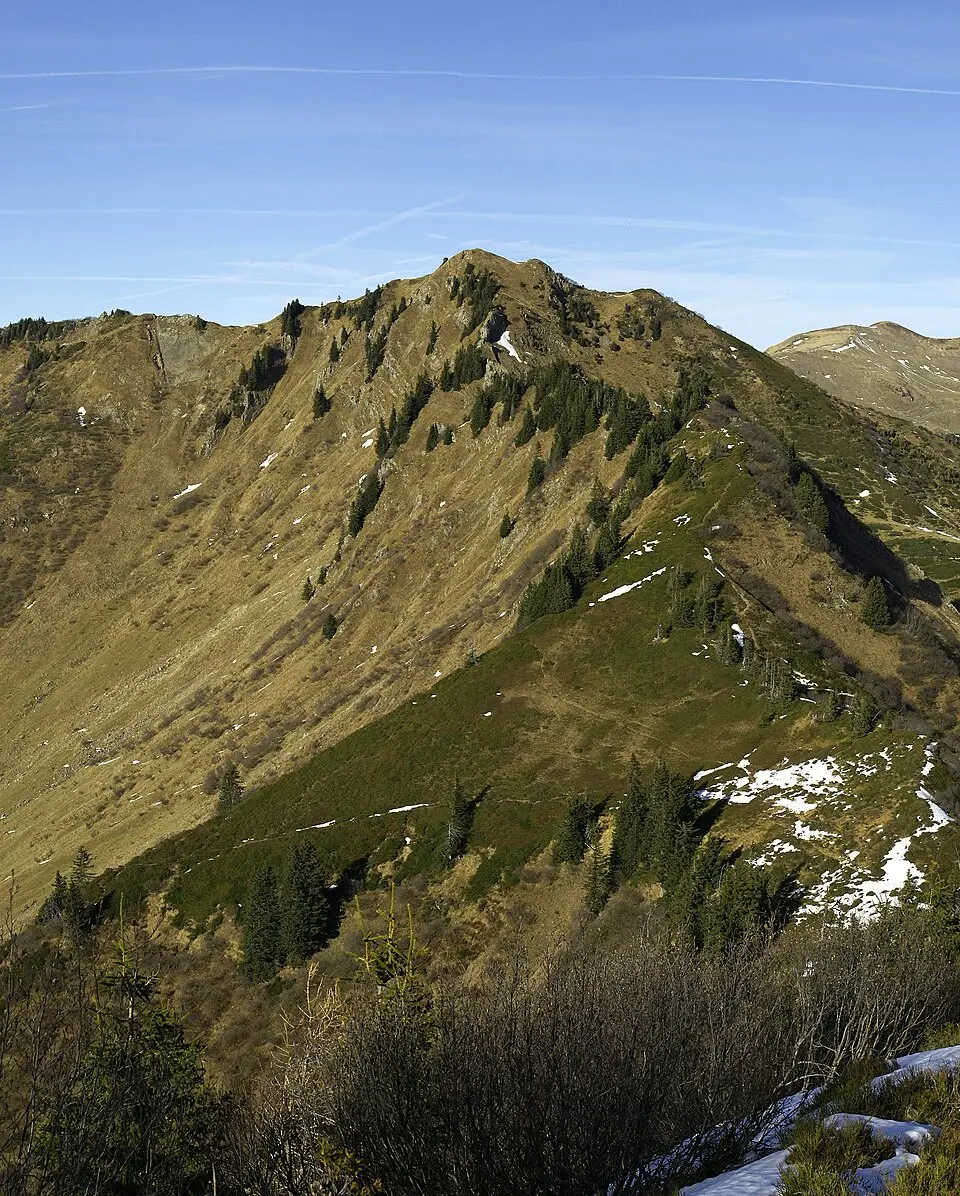 Hochrohkopf