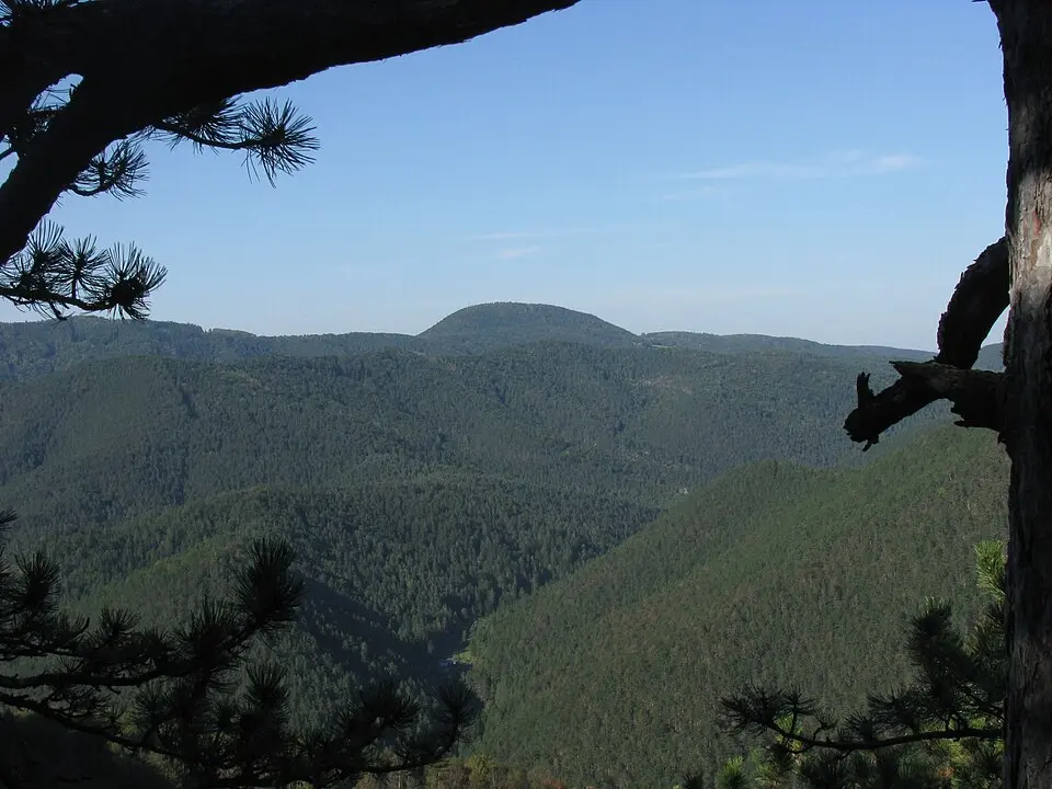 Hochwald