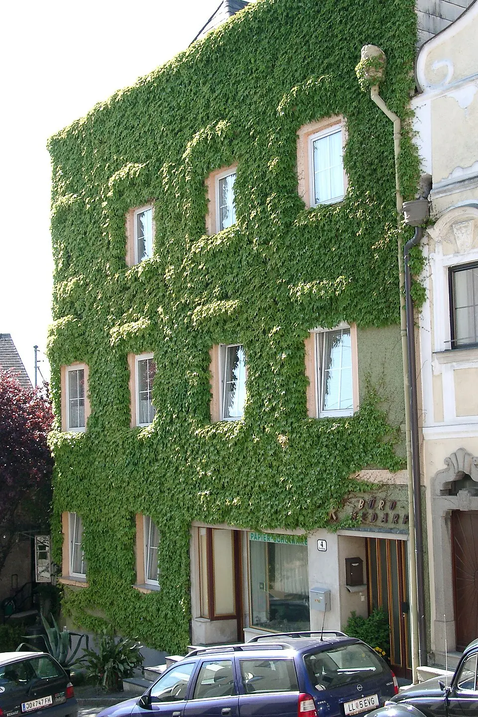 Ennsberg 4
