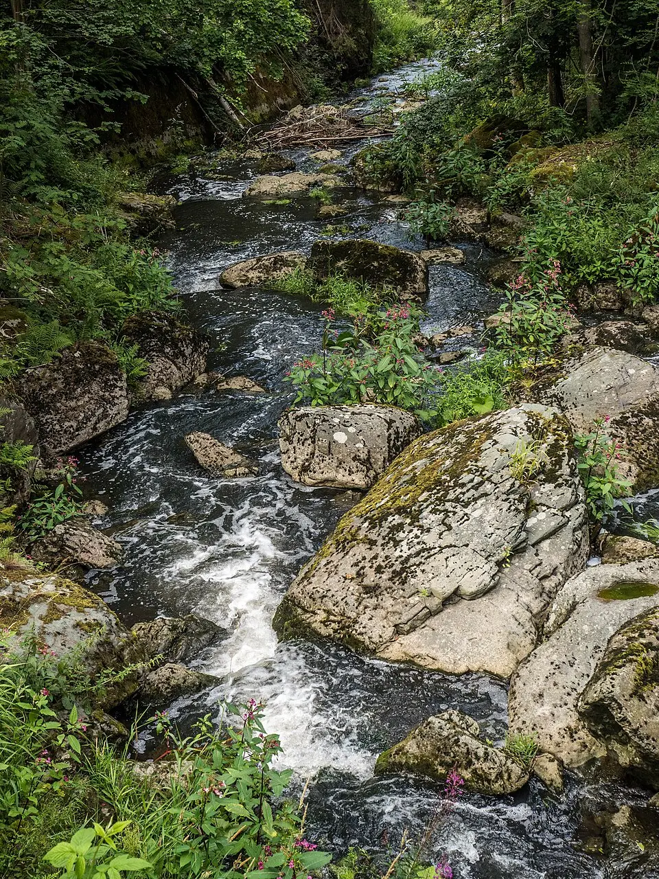 Höllental im Frankenwald