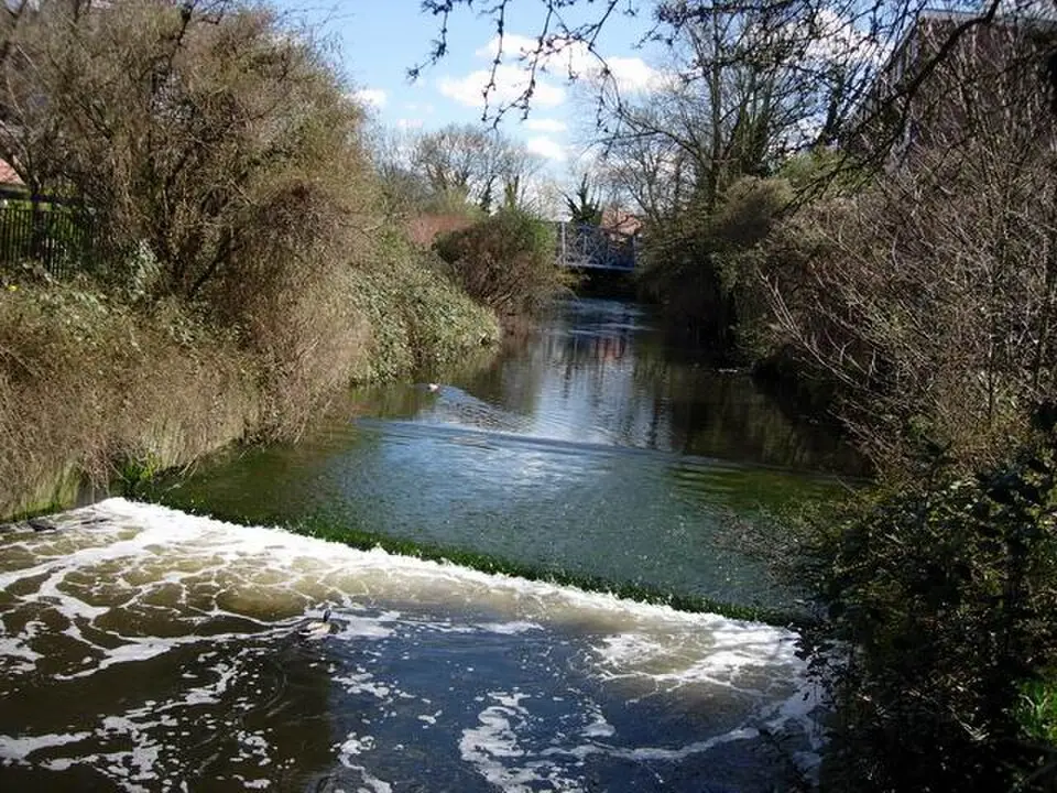 Hogsmill River