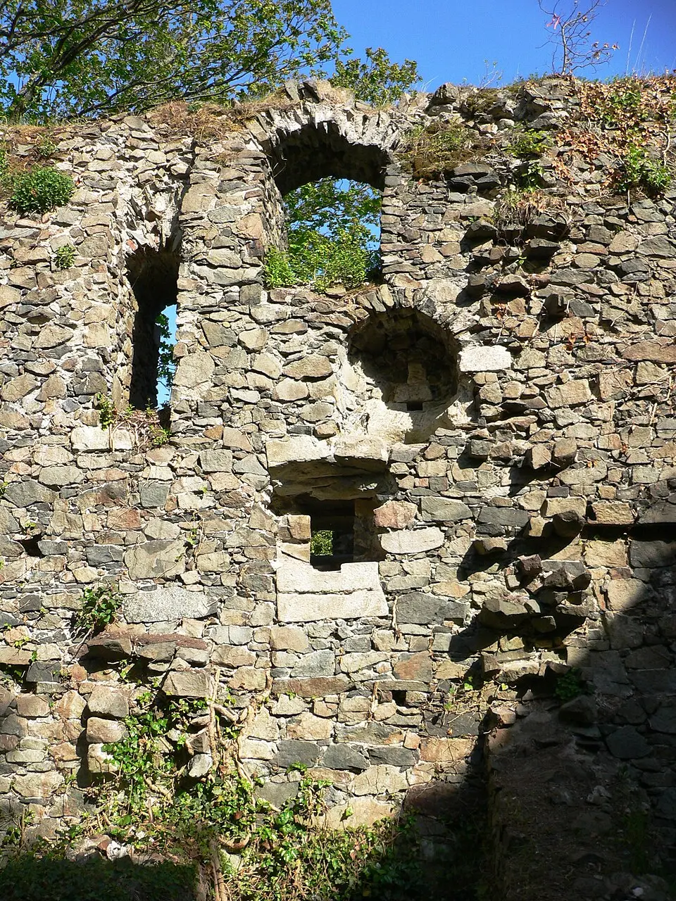 Burgruine Hohenberneck
