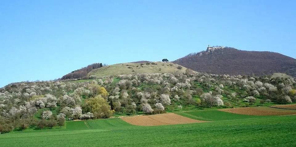 Hohenbol