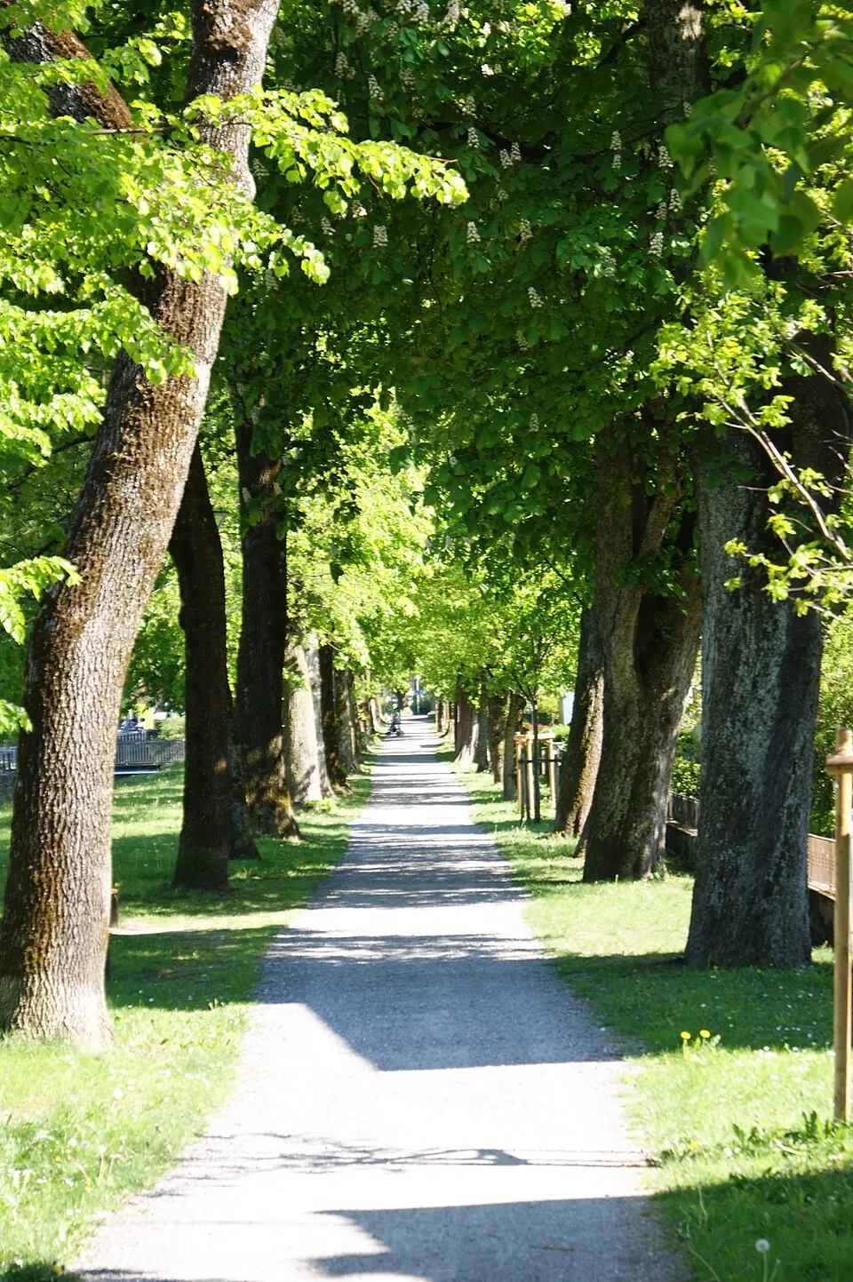 Schillerallee (Hohenems)