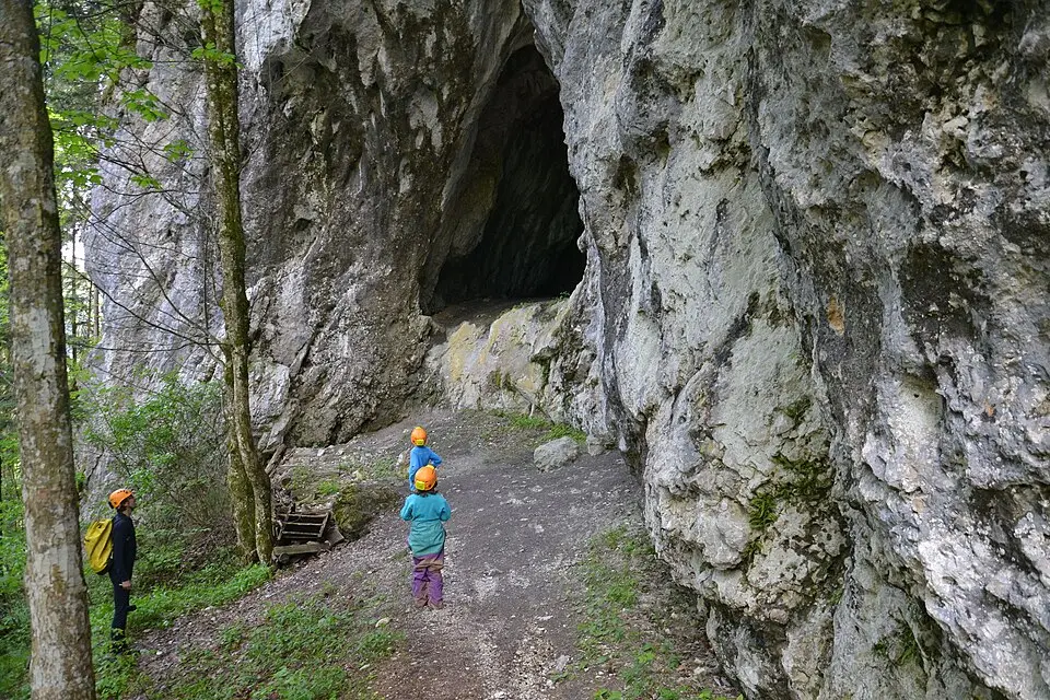 Image: Einer flog zu Weit · CC BY-SA 4.0 Hohlensteinhöhle
