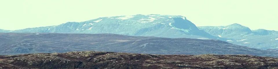 Blåbergi
