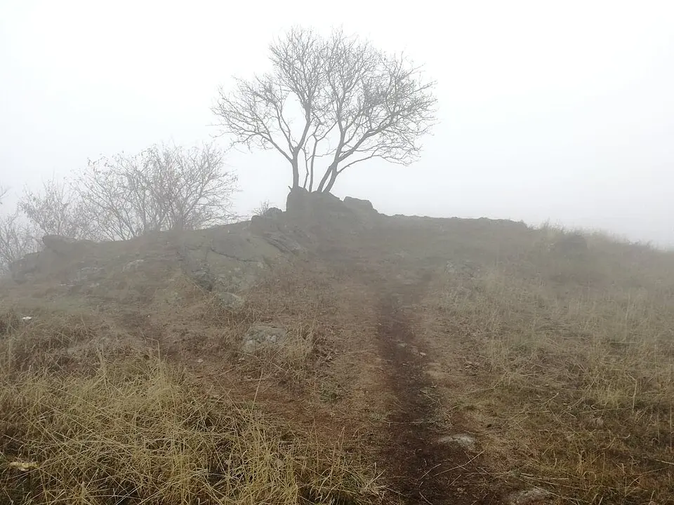 Lysá hora