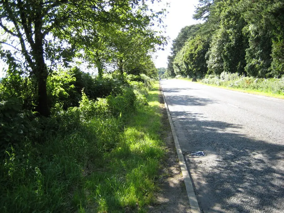 A51 road
