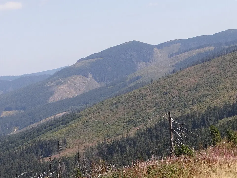 Holica (vrch v Nízkych Tatrách; 1617 m n. m.)