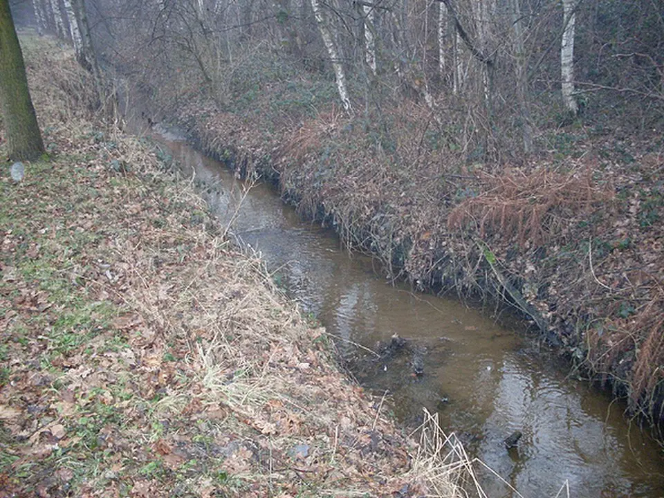 Holtebach