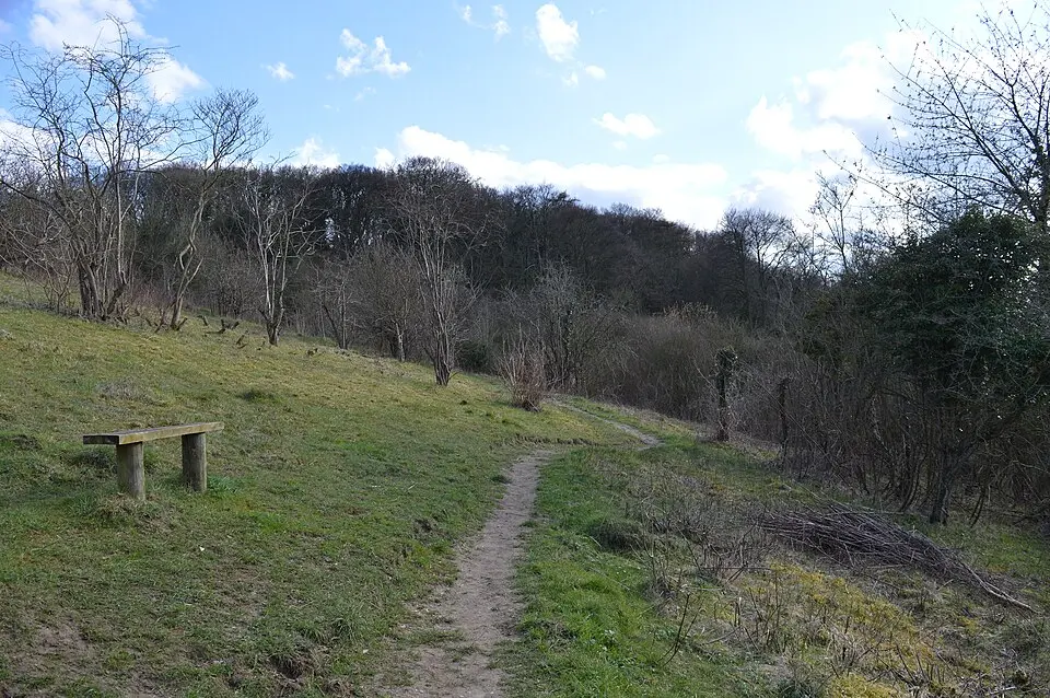 Holtspur Bank