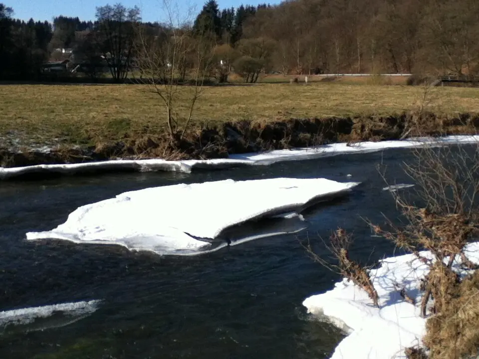 Holzbach