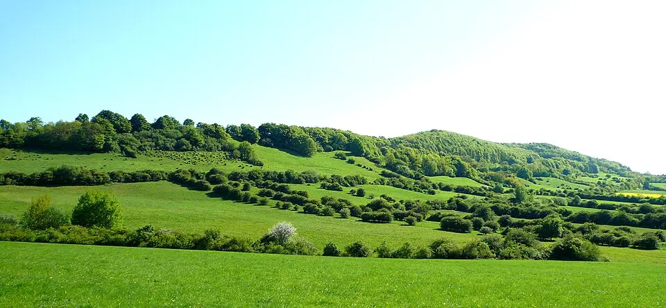 Holzberg