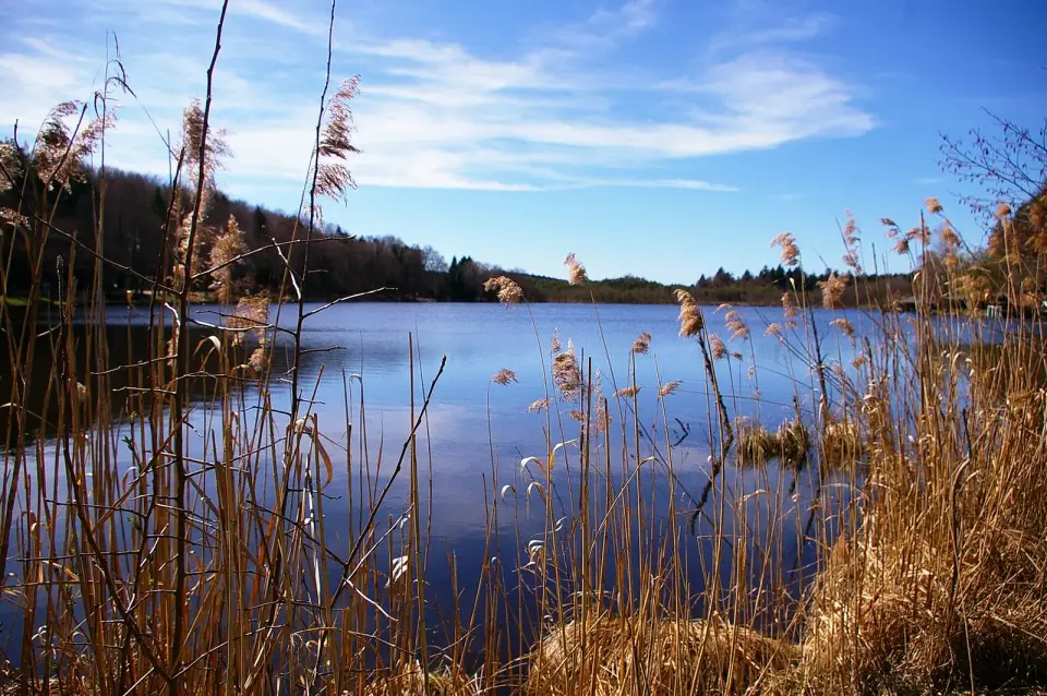 Teile des Hehermooses und der Holzöstersee