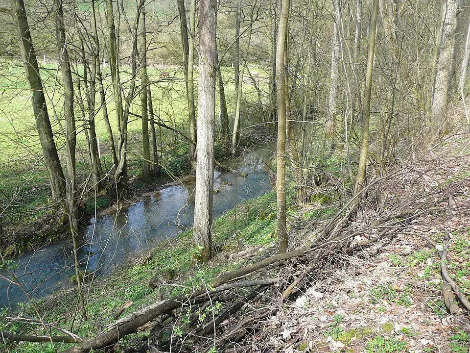 Aalbach