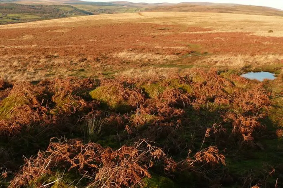 Partially enclosed stone hut circle settlement 350m south west of Horn's Cross