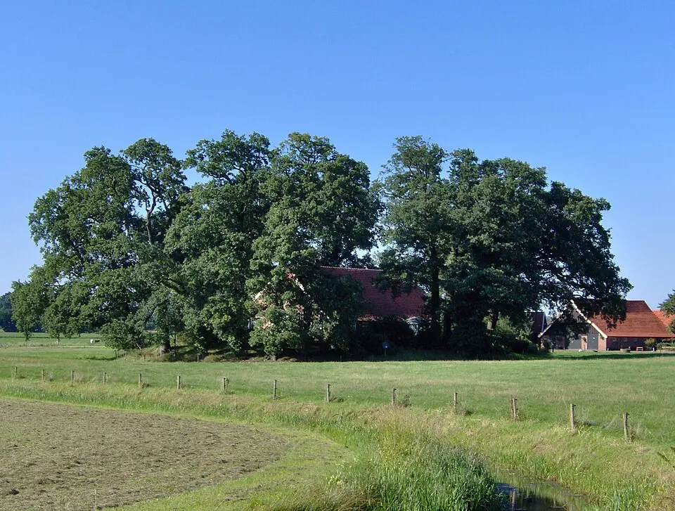 Hondeborg
