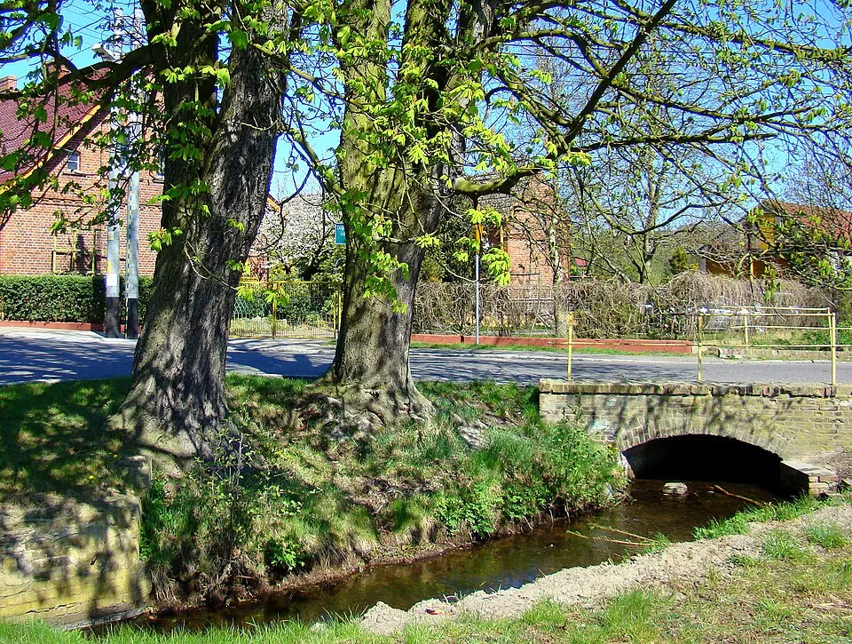 Karpina (struga)