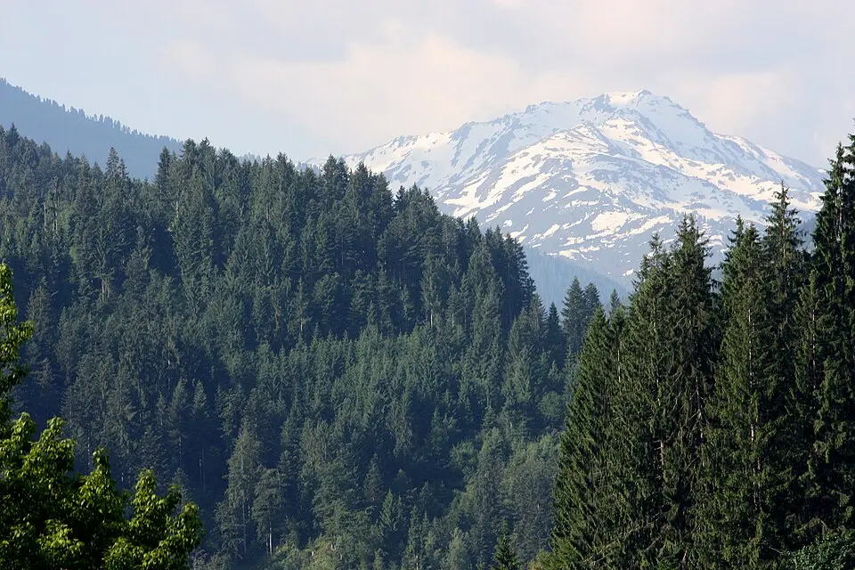 Pallspitze
