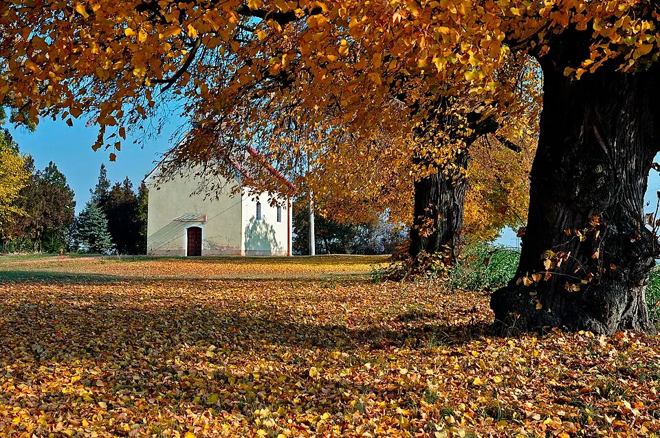 Felsőpél