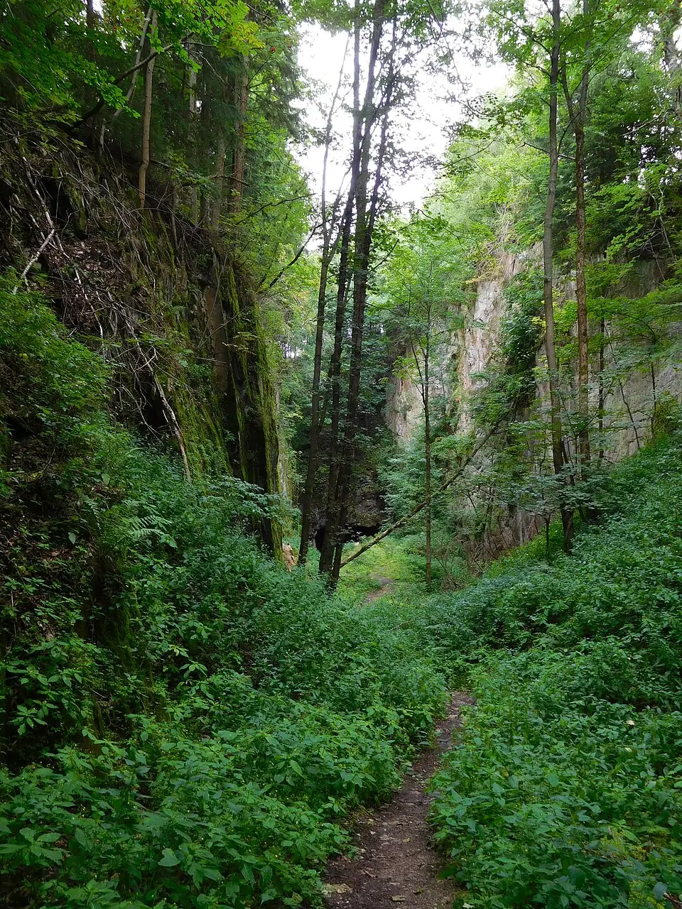 Bischofův lom