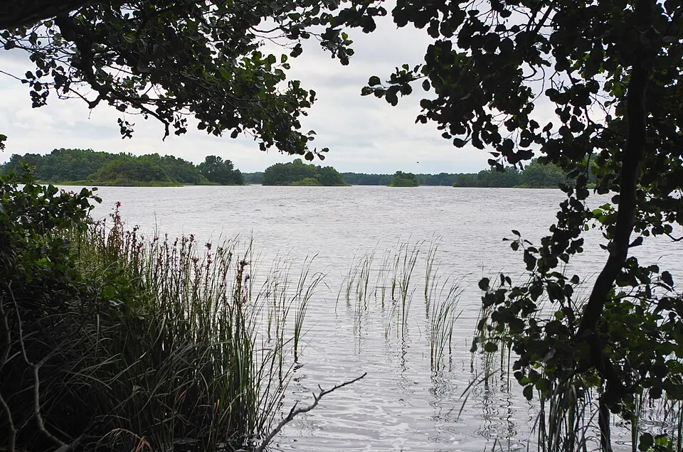 Hornsviken
