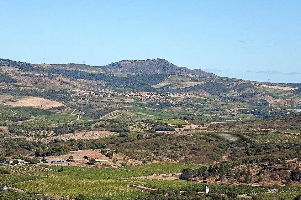 Horta