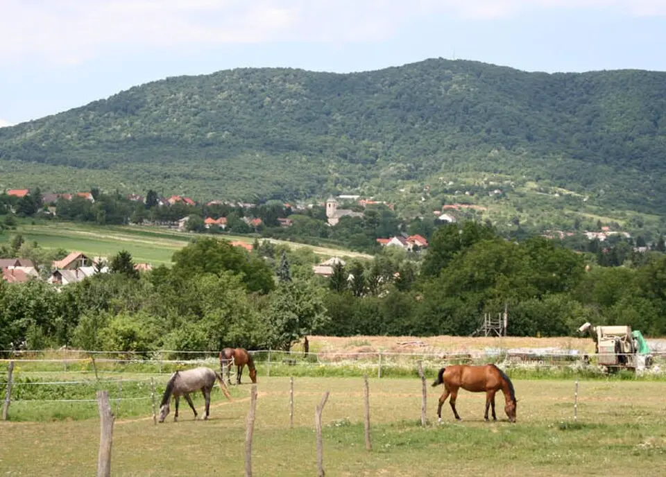 Bild: Zerido at Hungarian Wikipedia · Public domain Hármashegy