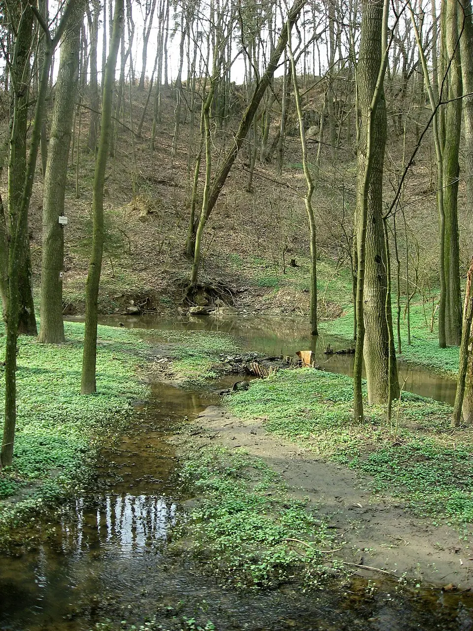 Hostěnické propadání