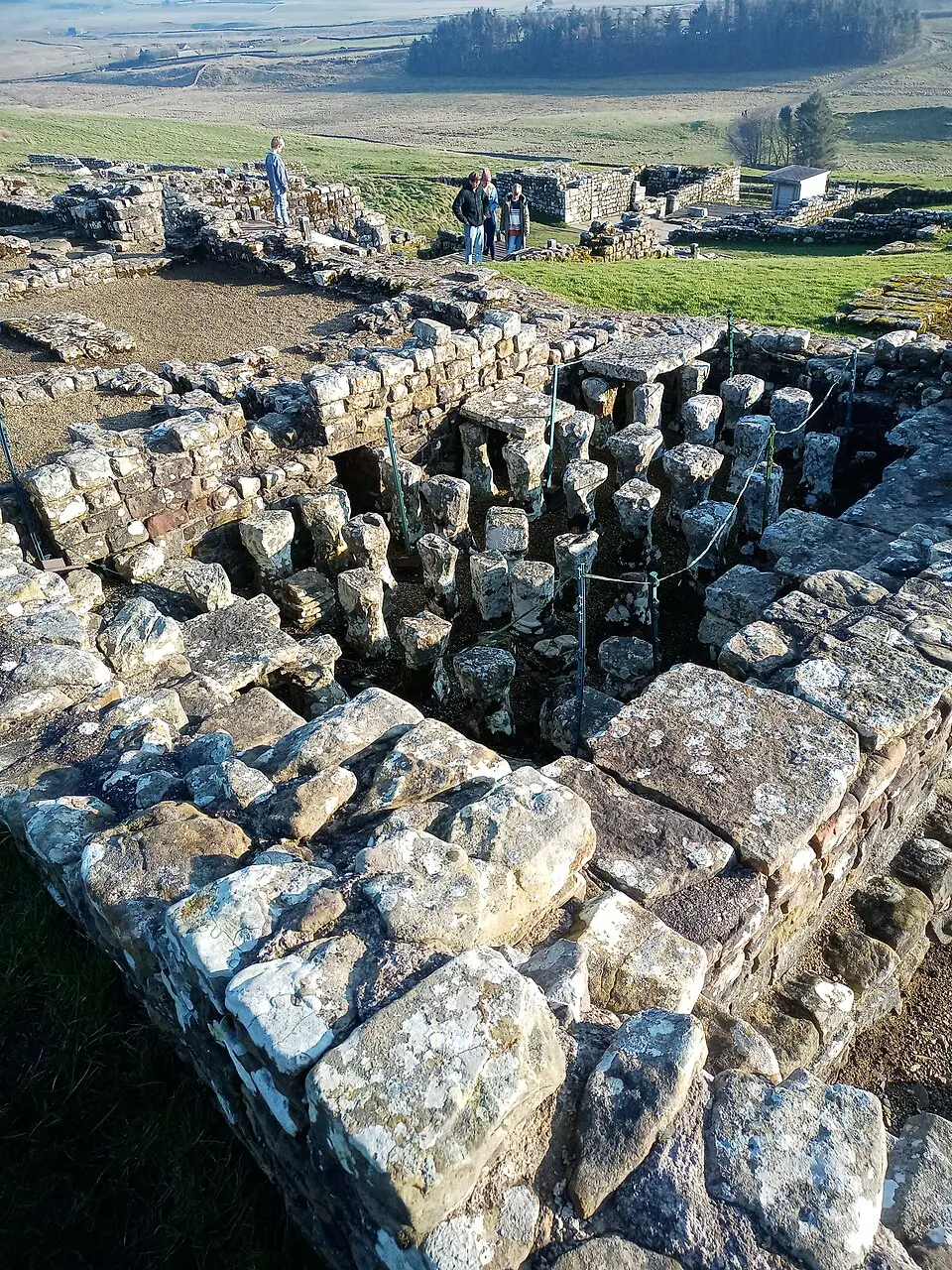 Housesteads fort, section of Wall and vallum between the field boundary west of milecastle 36 and the field boundary west of turret 37a in wall miles 36 and 37