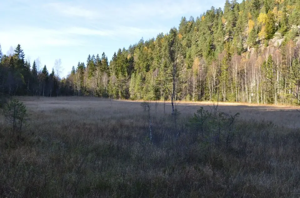 Høymyr naturreservat