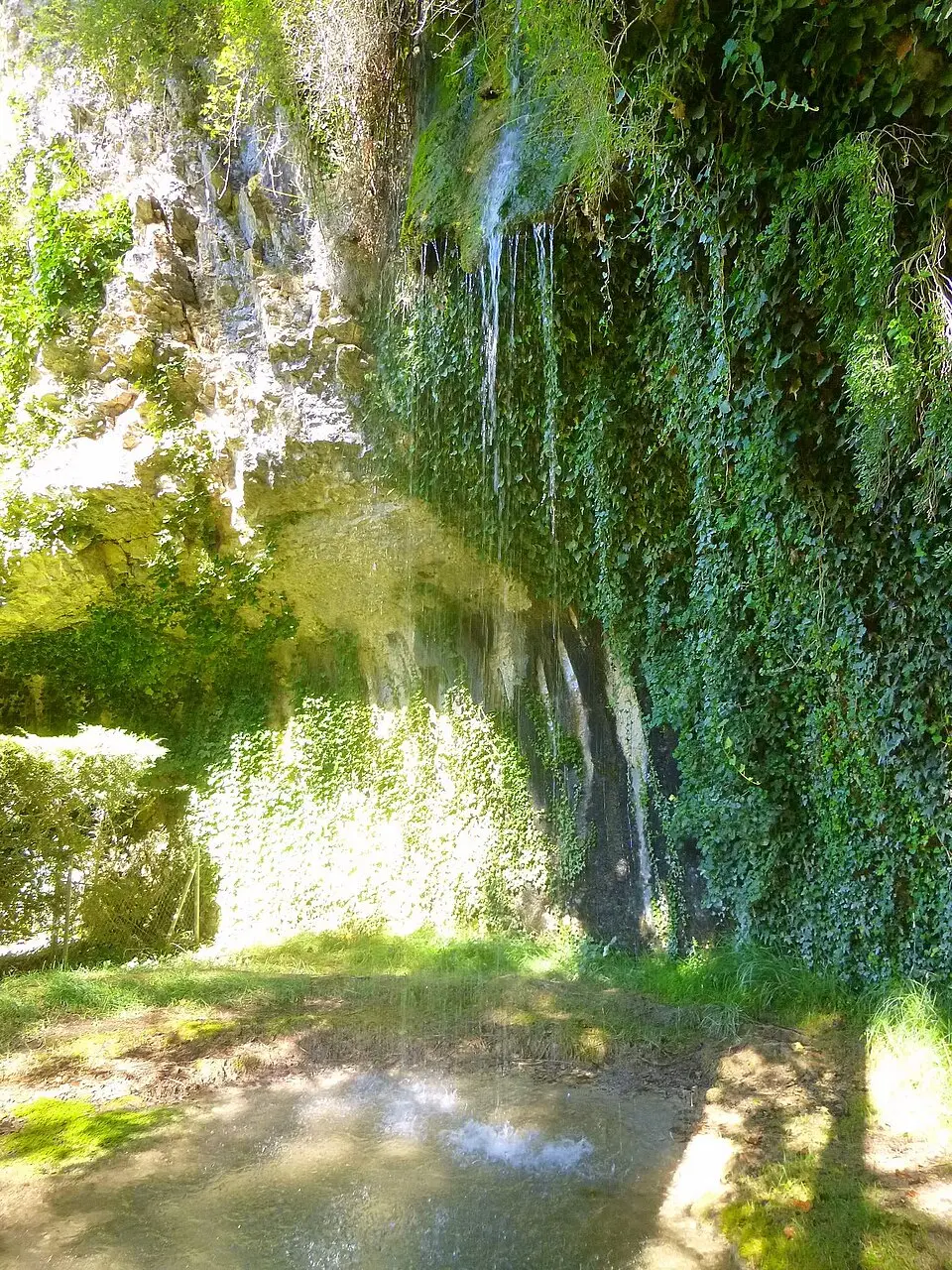 waterfall la Coladera
