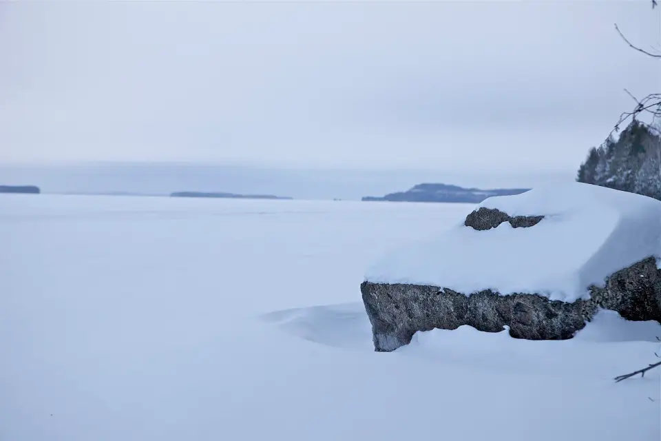 Höytiäinen