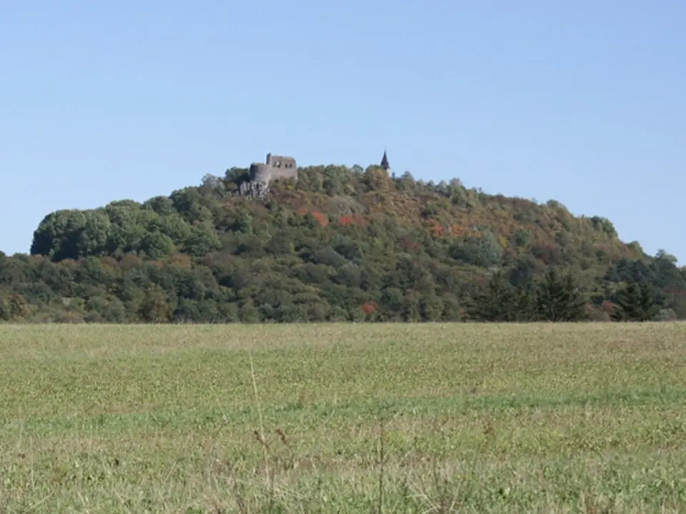 Burg Schwamberg