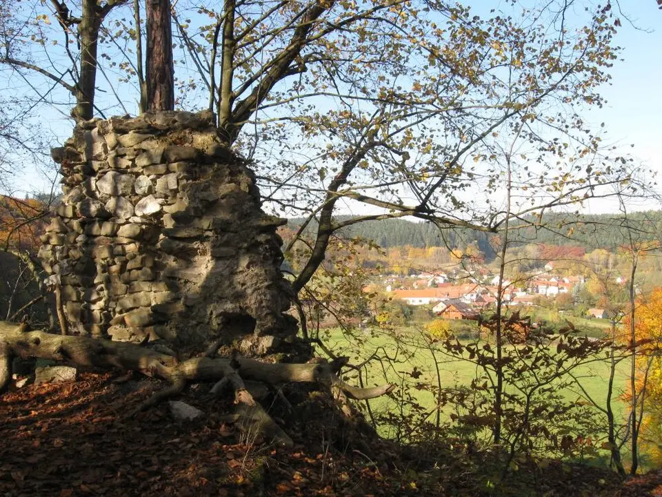 Burg Holštejn
