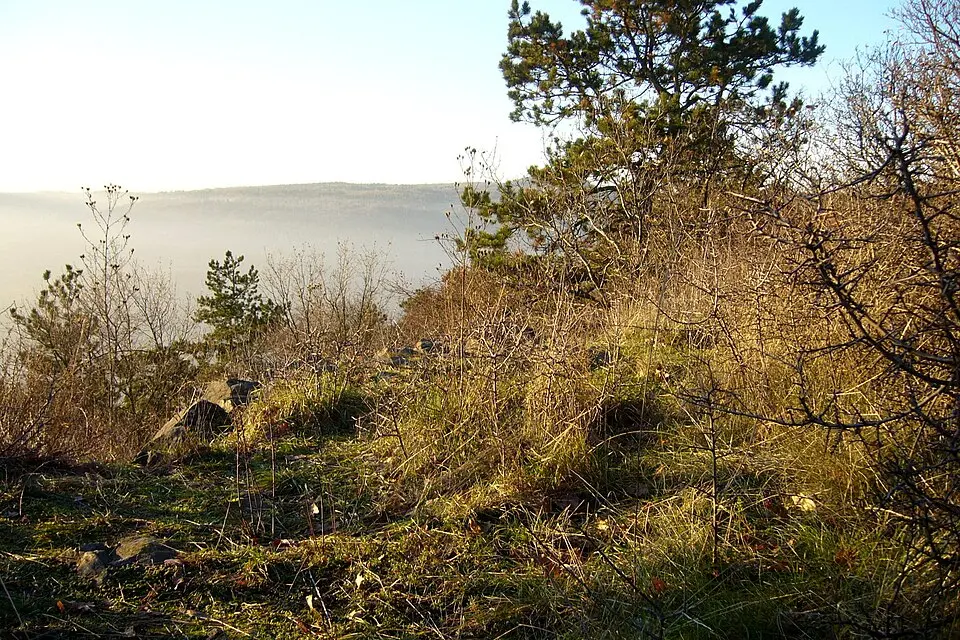 Bild: Petr Kinšt · CC BY-SA 3.0 Hrad na Blešenském vrchu