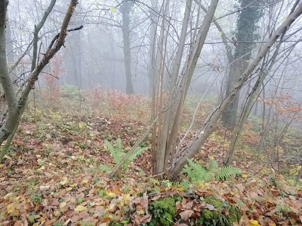 Hradiště Orlík