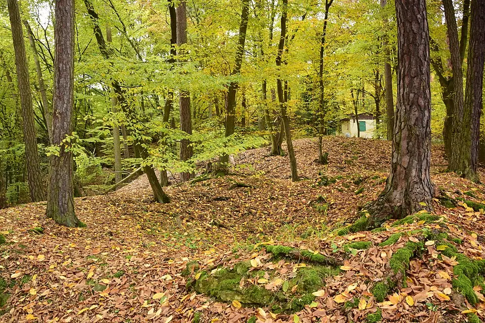 Hrad u Čtyřkol