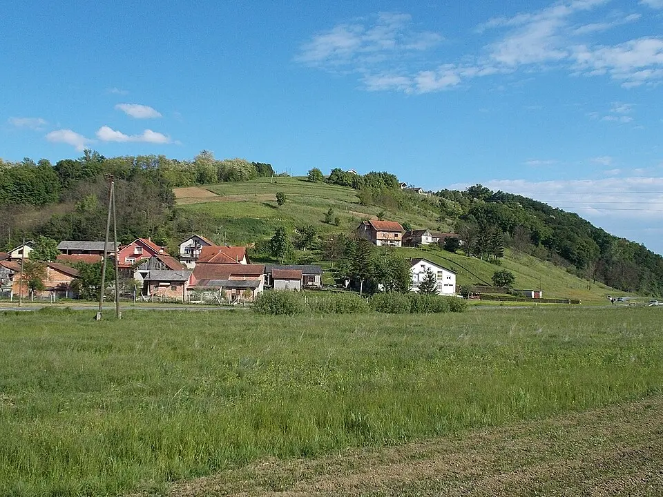 Mače