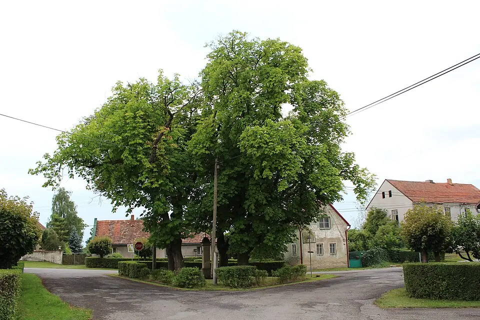 Hrušov
