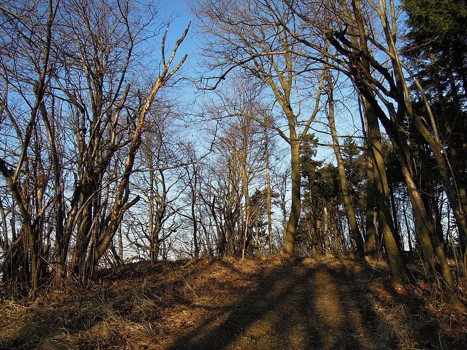 Huštýn